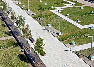 Green roof - Morgan facility, New York City
