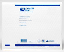 what does a padded flat rate envelope look like