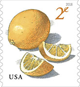 Meyer Lemons stamps