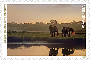 Assateague Island Seashore National Park stamp