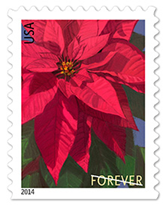 '2014 Poinsettia' 2014 Poinsettia