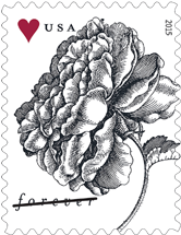 Vintage Rose stamp Vintage Rose stamp