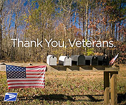 Do active duty celebrate veterans day