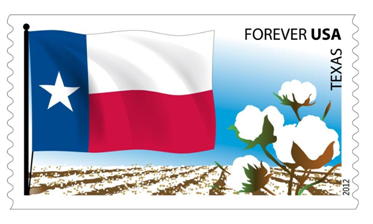 Texas state flag