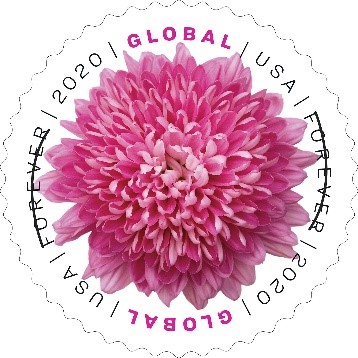 Chrysanthemum Global stamp