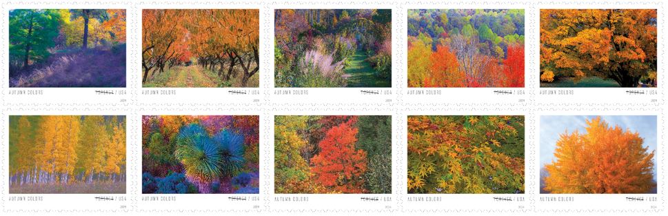 Autumn Colors stamps