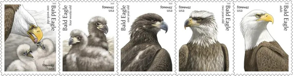 Bald Eagle Stamps