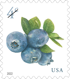 4-cent definitive Blueberries stamp
