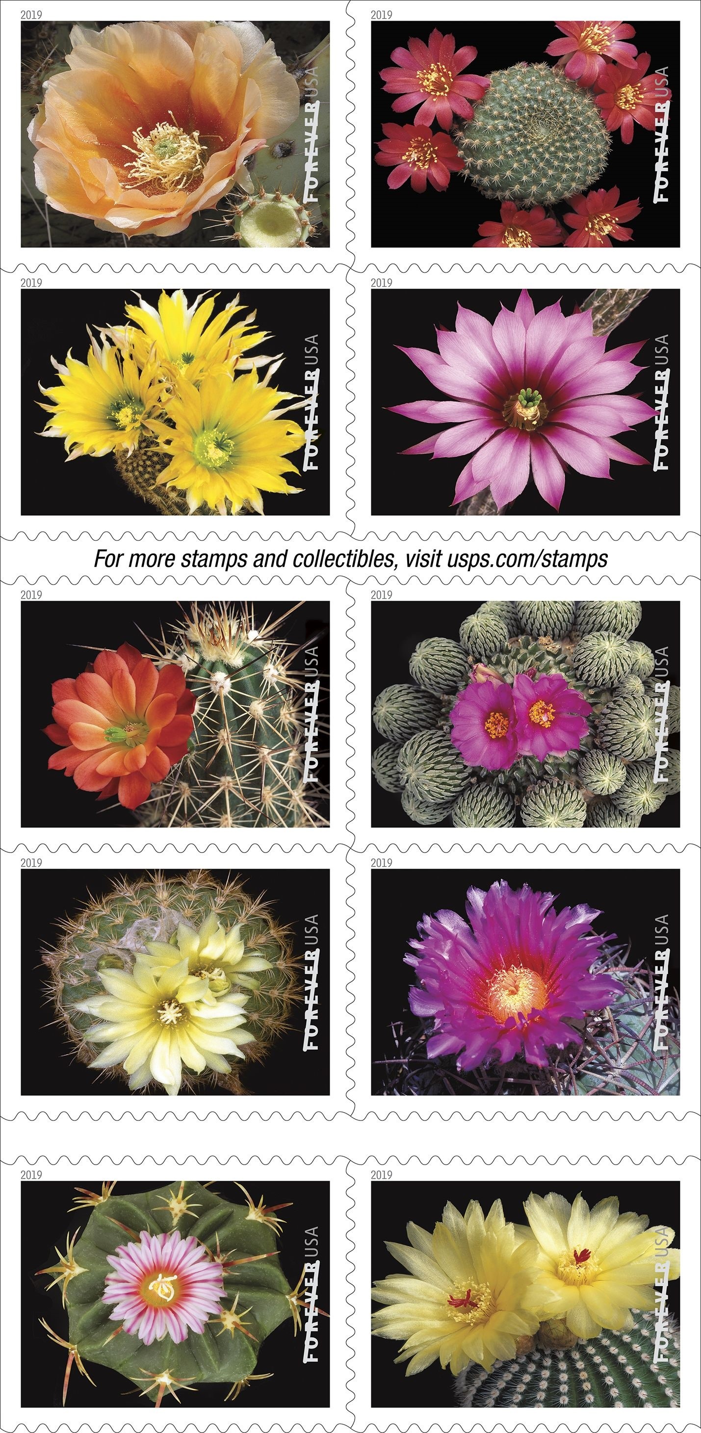 Cactus Flowers Forever stamps