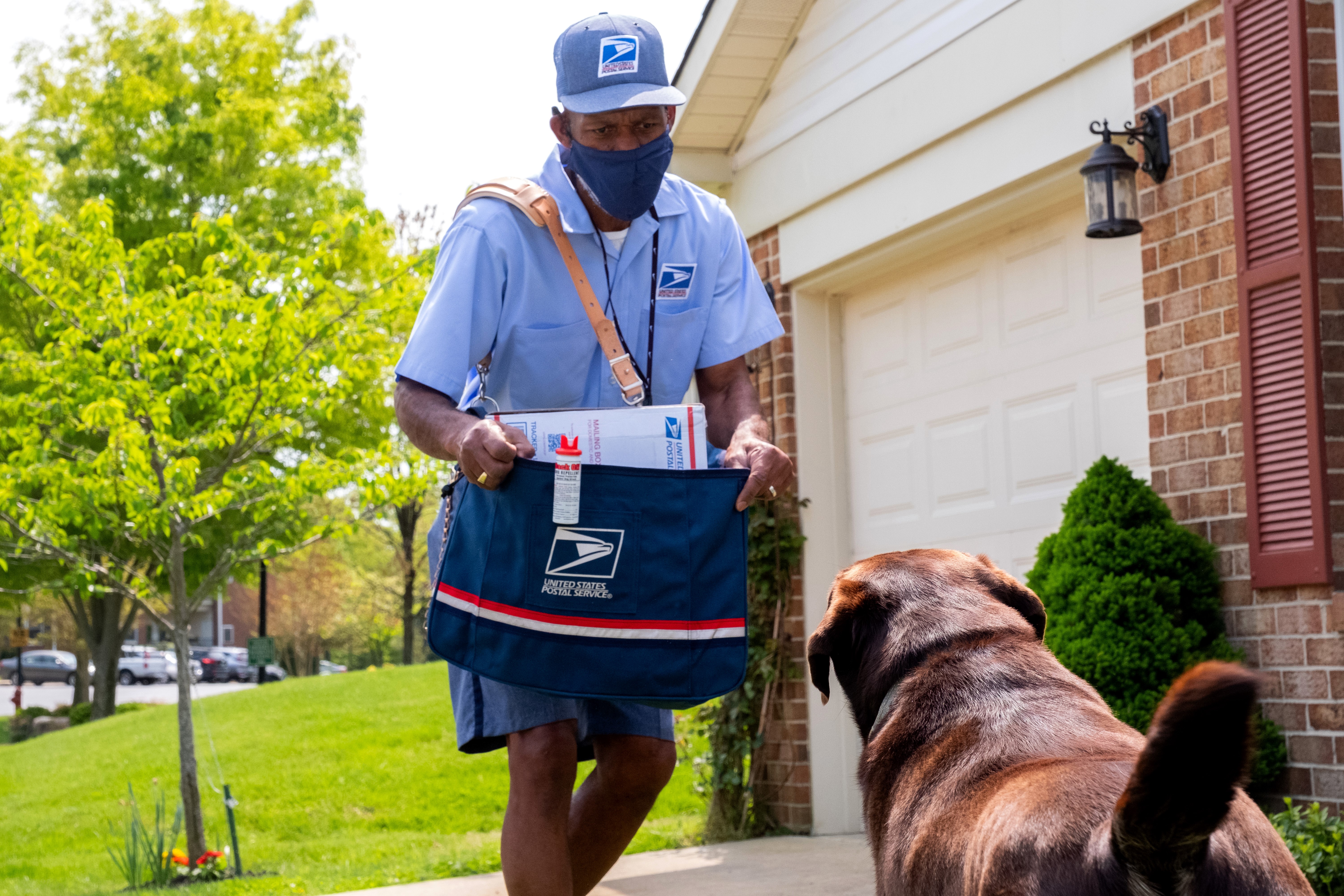 U.S. Postal Service Releases Dog Attack National Rankings