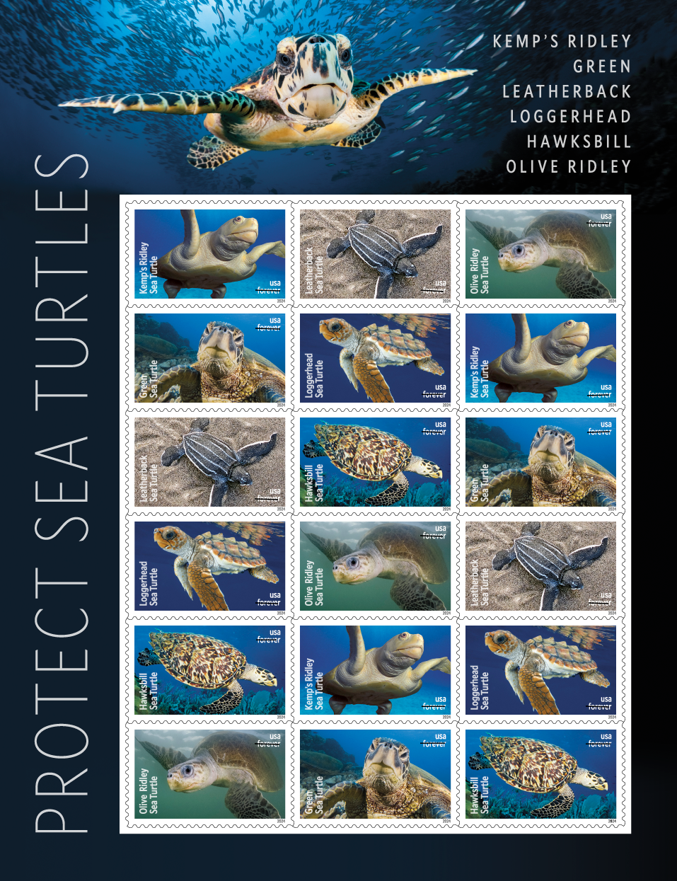 Sheet of 16 stamp of Protected Sea Turtles