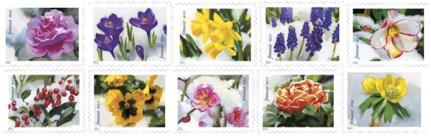 Snowy Beauty Stamps