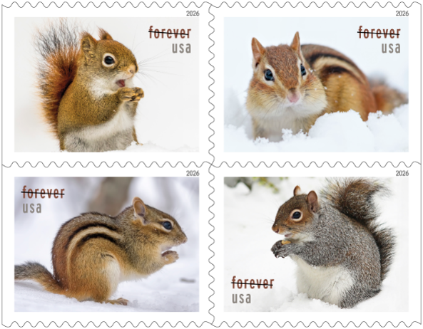 Squirrels and chipmunks in snow stamps