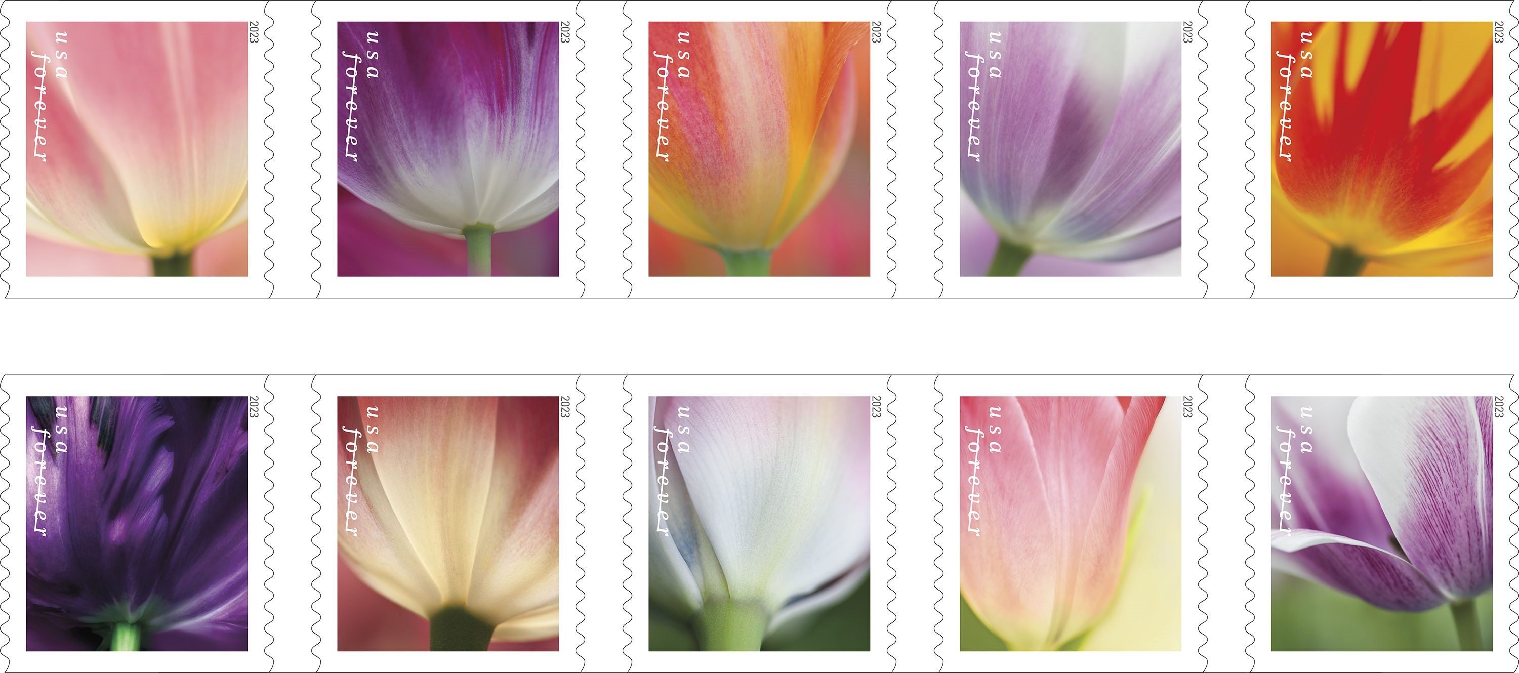 Tulips blossom Forever stamps