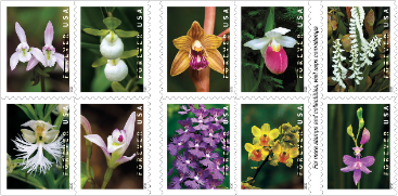 Wild Orchids stamps
