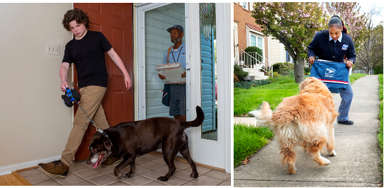 Put your animal way and a mail carrier defending herself against a loose dog.
