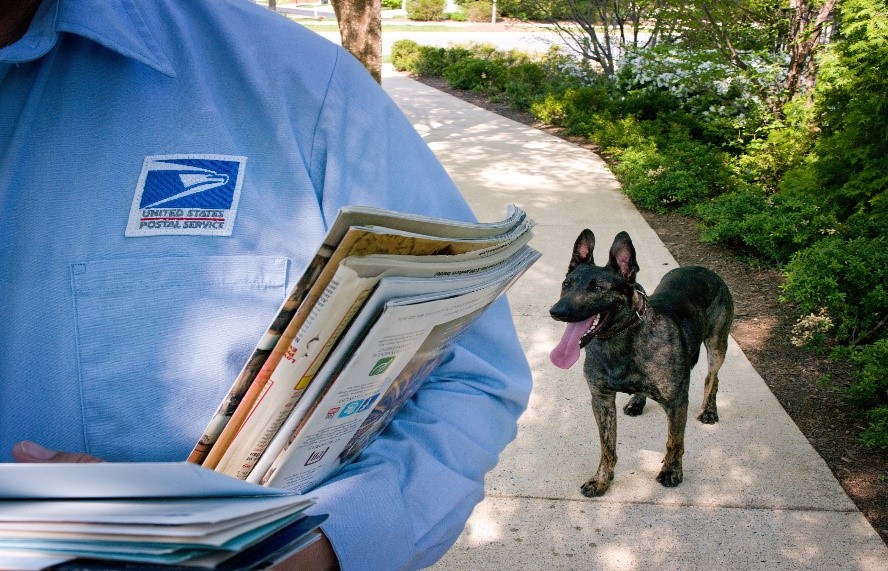 Letter Carriers Need Your Help to Prevent the Bite – San Diego Region -  California newsroom 