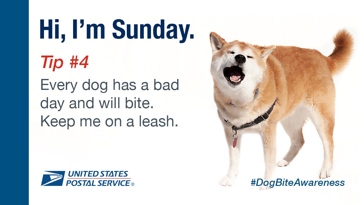 Dog Attacks Awareness - I'm Sunday