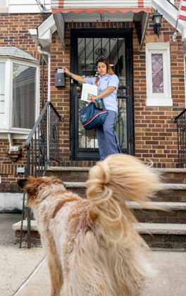 Los Angeles Letter Carrier