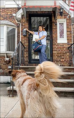 National Dog Bite Awareness Week