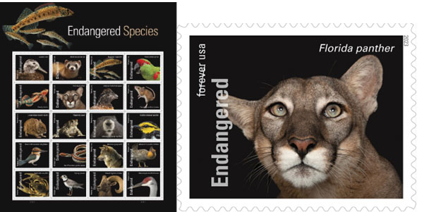 New Stamps Spotlight Endangered Species - Feature Florida Panther