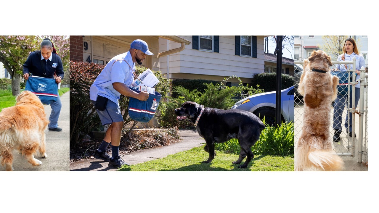 Postal Carriers defending themselves against dogs.