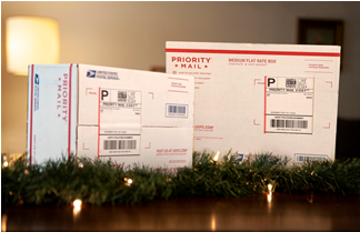 cyber Monday shenanigans - holiday wrapped packages and bear