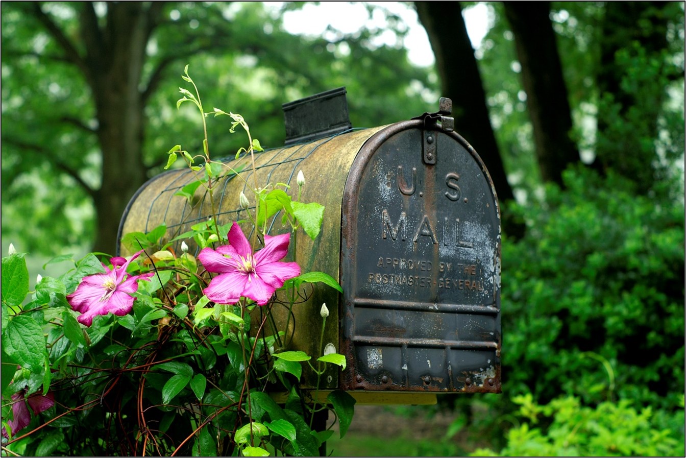 Mailbox Improvement Week Arrives in Time for Spring Cleaning Florida