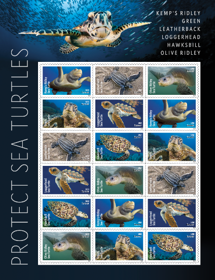 Sea turtle stamps