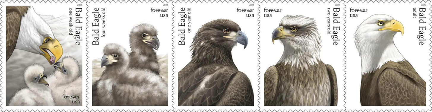 Bald Eagle stamps