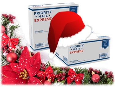 Holiday shipping package