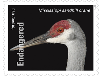 Mississippi Sandhill Crane Stamp