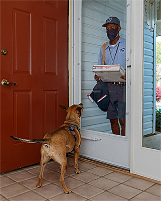 Dog Bite Prevention Event