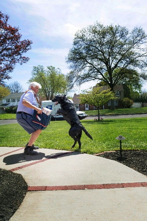 Dog Attacks on Mail Carriers