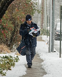 Letter Carrier delivering down a snowny walkway