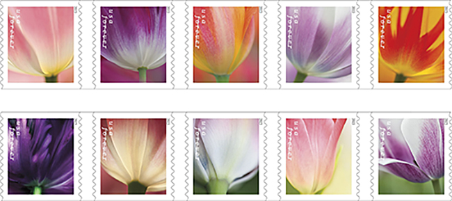 Tulip Blossoms Forever stamps