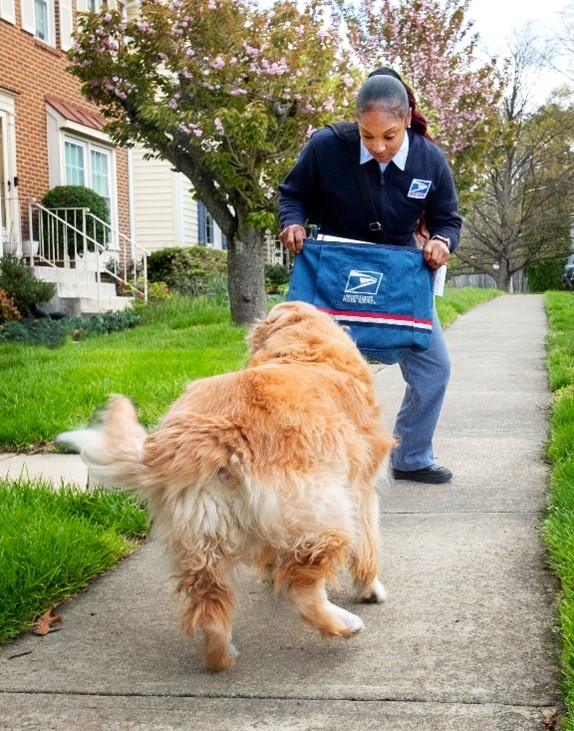 A mail carrier is blocking from a dog attacking