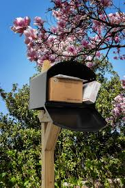 National Mailbox Improvement Week