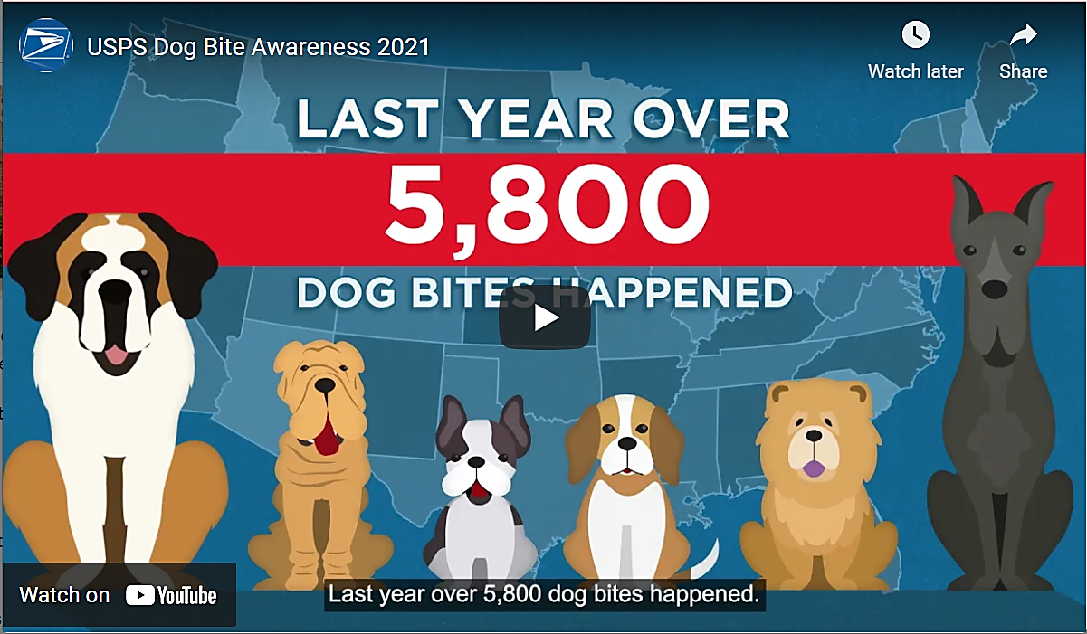 Dog Bite Awareness YouTube video