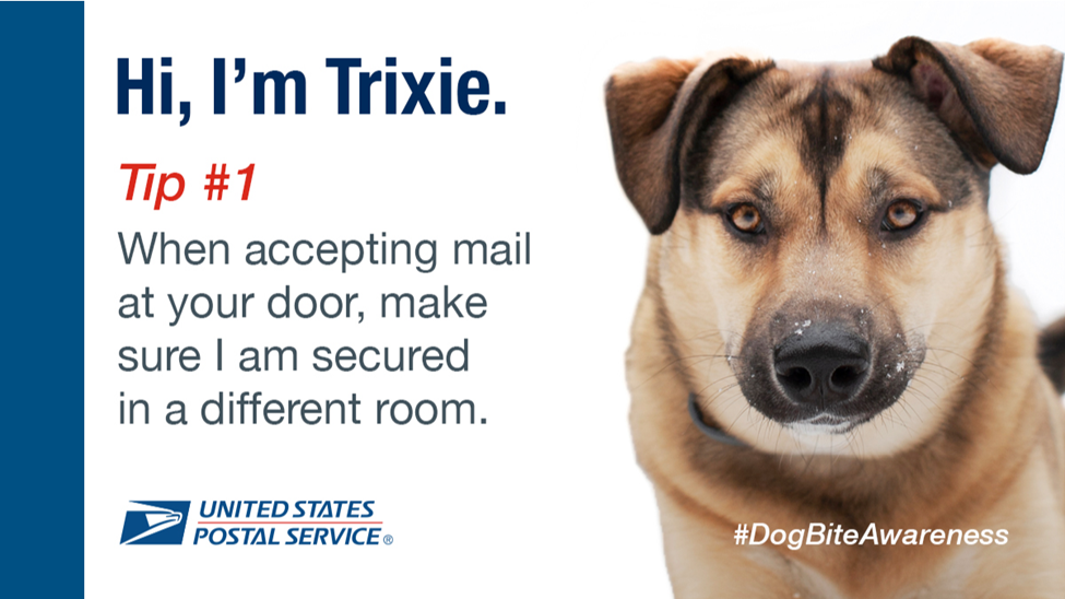 Hi, I'm Trixie, Tip #1, When accepting mail at your door, make sure I am secured in a different room.