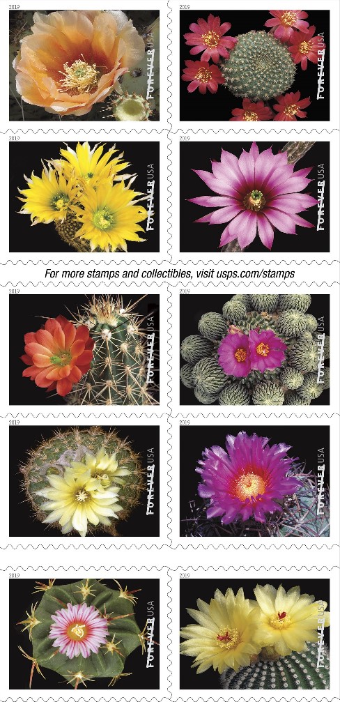 Cactus Flowers stamp