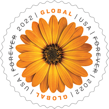 AFRICAN DAISY US #5676 FIRST CLASS 10 MVF GLOBAL FOREVER STAMPS FLOWERING  NATURE
