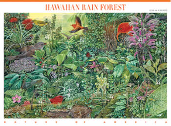 Hawaiian Rain Forest stamp