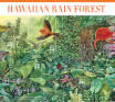Hawaiian Rain Forest stamp
