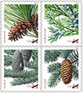 Holiday Evergreens stamps