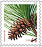 Holiday Evergreens stamp
