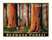 Redwood Forest stamp