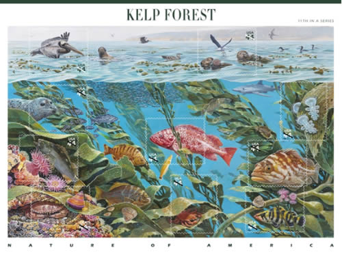 Kelp Forest Stamp Kelp Forest Stamp