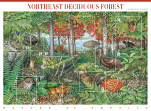 Northeast Deciduous Forest stamp image.