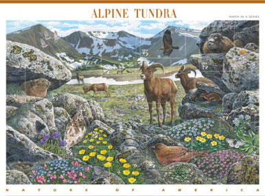 Alpine Tundra stamp
